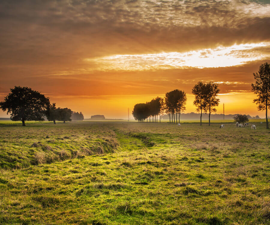 E-commerce store project by NovaWeb Studio Melbourne